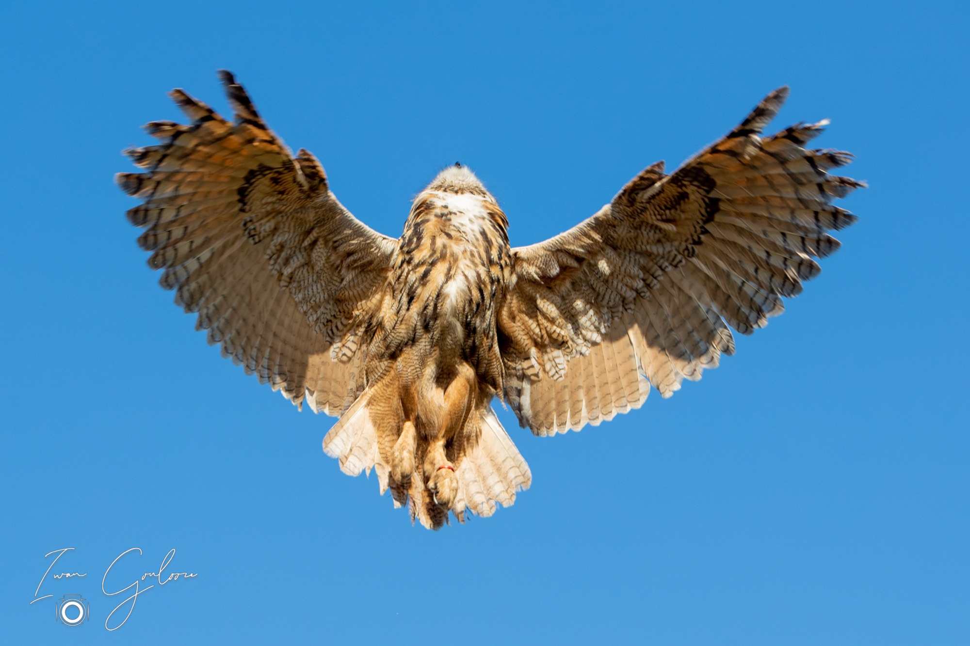 27 maart 2022 170800 1DX46655